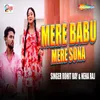 About Mere Babu Mere Sona Song